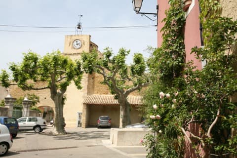 Élagueur Buisson