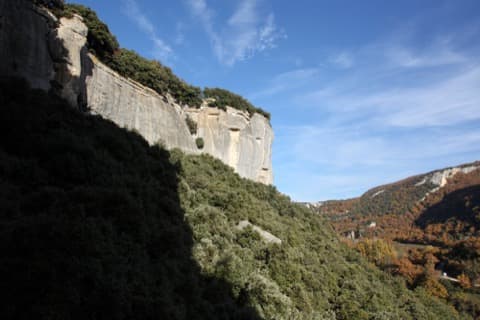 Élagueur Buoux