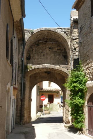 Élagueur Cucuron