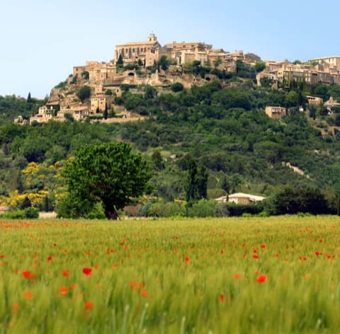 Élagueur Gordes