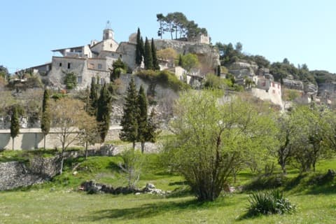 Élagueur Le Beaucet