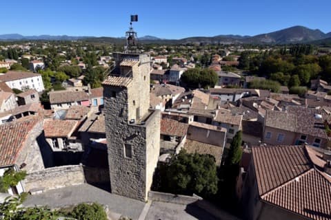 Élagueur Malaucène