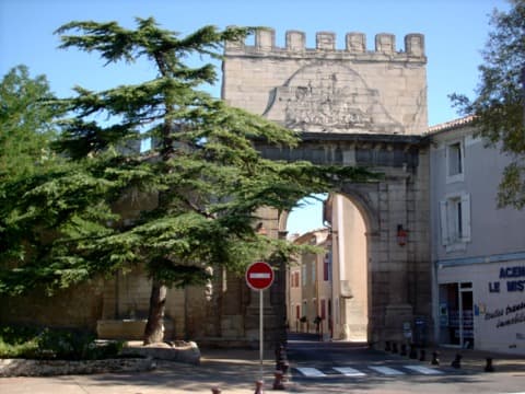 Élagueur Monteux