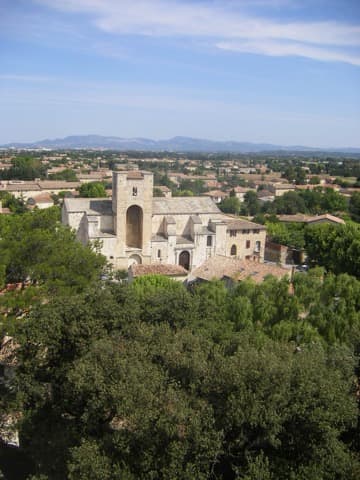 Élagueur Pernes-les-Fontaines