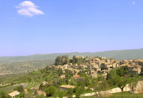 Élagueur Saignon
