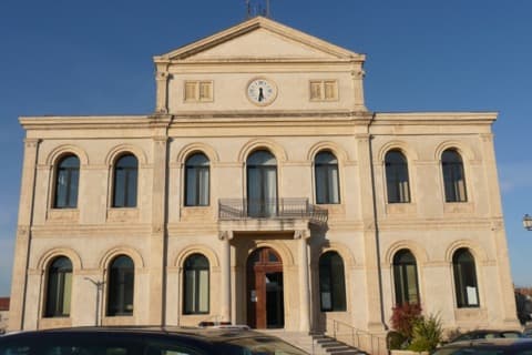Élagueur Sorgues
