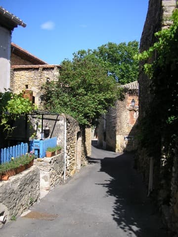 Élagueur Uchaux
