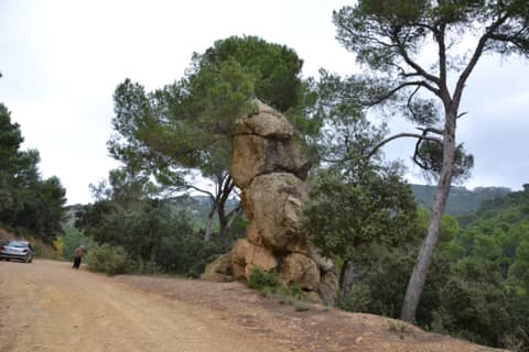 Élagueur Vacqueyras