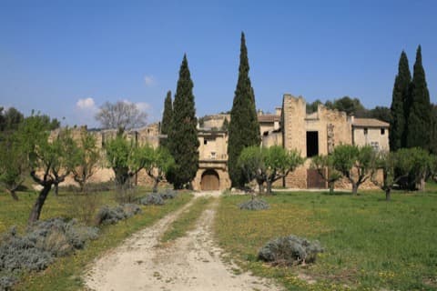 Élagueur Villelaure