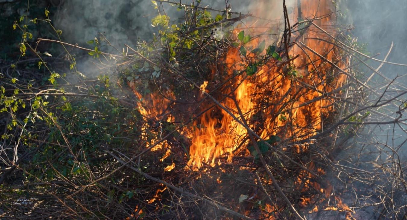 Débroussaillage & Taille de haies 84 Vaucluse